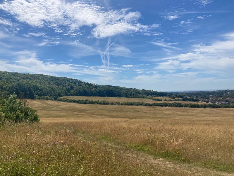 A grassland field with woodland in the distance and a walking path in the foreground. Blue sky above the airplane endtrails and clouds