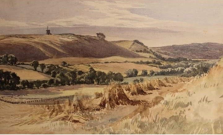 Painted scene of grasslands with rolling hills in the background and haybales in the foreground. Fields are separated by a line of trees